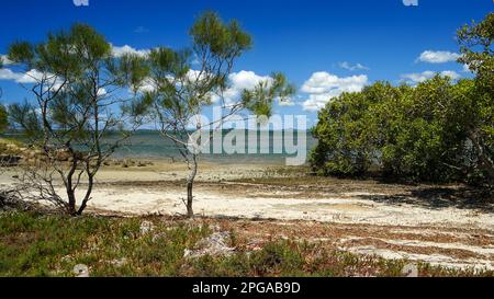Ammira gli alberi di casuarina e una piccola spiaggia di sabbia dall'altra parte dell'acqua fino alle isole meridionali di Moreton Bay all'orizzonte Foto Stock
