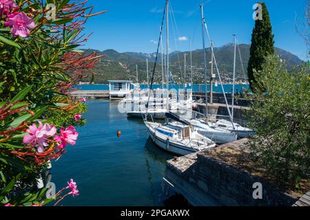 Grazioso porto a Portese sul Lago di Garda Foto Stock