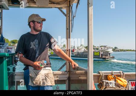 Il capatain del traghetto che guida il traghetto attraverso il suono stretto da Edgartown su Martha's Vineyard a Chappaquiddick Island, ma, USA Foto Stock