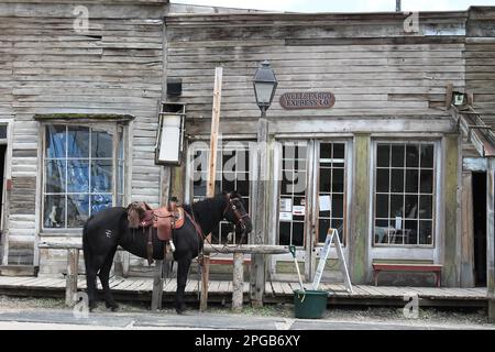 Saddled in su Foto Stock