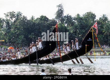 Il oarsman in piedi la parte posteriore della barca chiamato Amaram e che opera la direzione della barca. Aranmula Vallamkali festival o Snake Boat Foto Stock