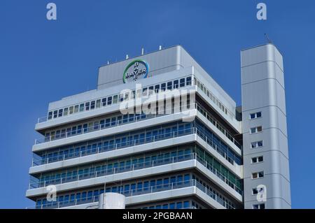 Bayer Pharma AG, Fennstrasse, Wedding, Berlino, Germania Foto Stock