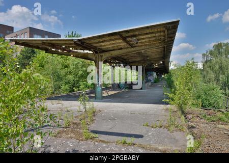 Siemensbahn, Wernerwerk, Siemensdamm, Siemensstadt, Berlino, Germania Foto Stock