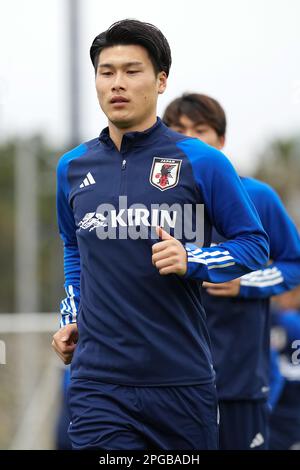 Chiba, Giappone. 21st Mar, 2023. Daiki Hashioka (JPN) Calcio : Giappone allenamento nazionale a Chiba, Giappone . Credit: AFLO SPORT/Alamy Live News Foto Stock