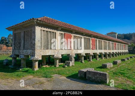 Poio, Galizia. Spagna. Febbraio 8, 2023. Il più grande Horreo della Galizia, un granaio tipico. Monastero di San Juan de Poio Foto Stock