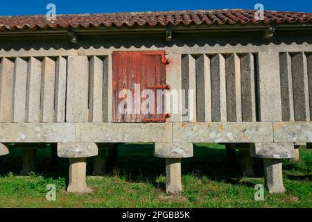 Poio, Galizia. Spagna. Febbraio 8, 2023. Il più grande Horreo della Galizia, un granaio tipico. Monastero di San Juan de Poio Foto Stock