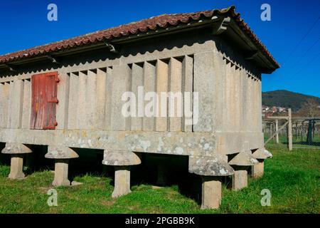 Poio, Galizia. Spagna. Febbraio 8, 2023. Il più grande Horreo della Galizia, un granaio tipico. Monastero di San Juan de Poio Foto Stock