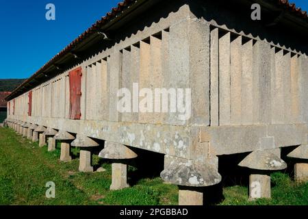 Poio, Galizia. Spagna. Febbraio 8, 2023. Il più grande Horreo della Galizia, un granaio tipico. Monastero di San Juan de Poio Foto Stock