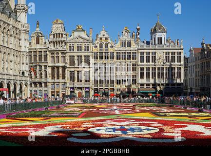 Tappeto di fiori e turisti sul Grote Markt (Grand Place) di fronte alle storiche case delle corporazioni, Bruxelles, Belgio Foto Stock