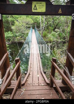 Ponte sospeso attraverso Deep River, sulla pista per Nuyts Wilderness, Walpole-Nornalup National Park, Australia Occidentale, Australia Foto Stock