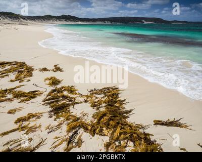 Foul Bay sulla Cape to Cape Track, Leeuwin-Naturaliste National Park, Australia Occidentale Foto Stock