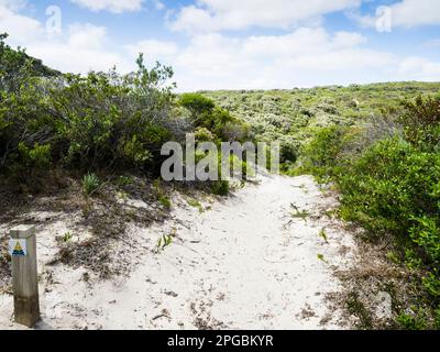 Da capo a capo indicatore di percorso che attraversa la brughiera costiera a sud di Foul Bay, Leeuwin-Naturaliste National Park, Australia Occidentale Foto Stock