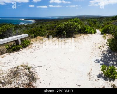 Sedile sul tracciato da Capo a Capo mentre attraversa la brughiera costiera, dirigendosi a nord verso Foul Bay, Leeuwin-Naturaliste National Park, Australia Occidentale Foto Stock