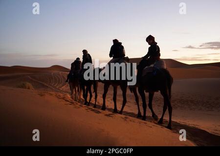 Un gruppo diversificato di viaggiatori che attraversano un paesaggio desertico sabbioso nella luce dorata di un sole tramontato, cavalcando sulle spalle dei cammelli Foto Stock