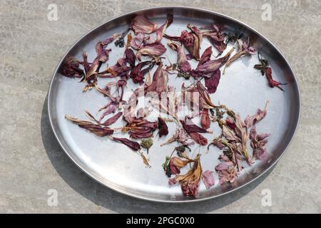 Fiori secchi conservati su piastra in acciaio inox per articoli vari. Fiori che asciugano al sole Foto Stock