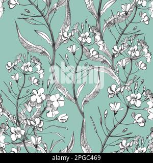 Disegno a mano senza cuciture motivi fiori in stile vintage. Fiori, foglie ed erbe. Illustrazioni botaniche. Foto Stock