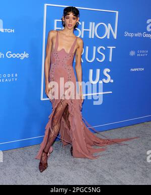 Hollywood, Stati Uniti. 21st Mar, 2023. Dilone arriva al Fashion Trust US Awards che si tiene presso i Goya Studios di Hollywood, California, martedì 21 marzo 2023 . (Foto di Juan Pablo Rico/Sipa USA) Credit: Sipa USA/Alamy Live News Foto Stock