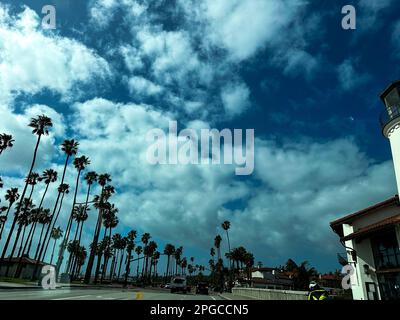 Santa Barbara, California, Stati Uniti. 21st Mar, 2023. Nuvole bianche e cielo blu scuro si incontrano sulle palme lungo Cabrillo Blvd di Santa Barbara, che corre lungo l'Oceano Pacifico, tra le tempeste di pioggia del 22 marzo 2023 (Credit Image: © Amy Katz/ZUMA Press Wire) SOLO PER USO EDITORIALE! Non per USO commerciale! Foto Stock