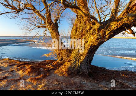 Laguna di Vistola, Voivodato di Warmian-Masurian, Polonia Foto Stock