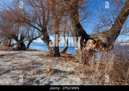 Laguna di Vistola, Voivodato di Warmian-Masurian, Polonia Foto Stock