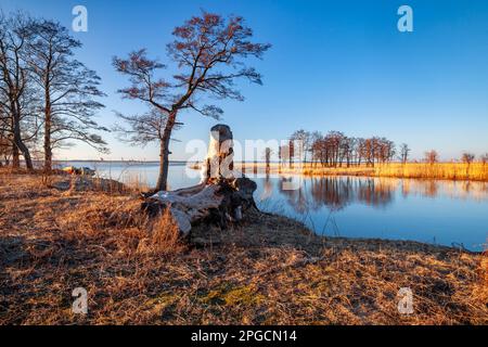 Laguna di Vistola, Voivodato di Warmian-Masurian, Polonia Foto Stock