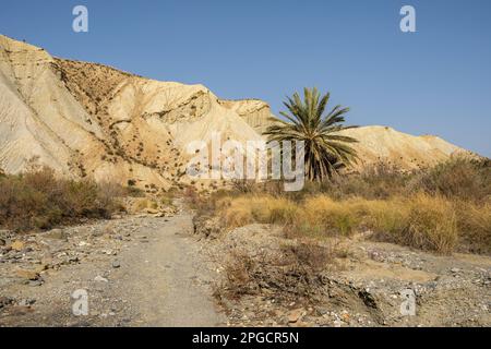 Vista panoramica di terreni accidentati e irregolari vicino alla palma sotto il cielo blu nuvoloso in una giornata di sole situata nel deserto di Tabernas Foto Stock