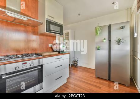 Vista laterale dell'interno della cucina moderna con armadi costruito in forno a stufa altri elettrodomestici e doppio frigorifero con piante in vaso affisse n Foto Stock