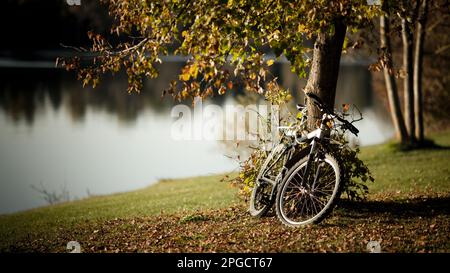 Bicicletta parcheggiata sotto l'albero con verde e giallo fogliame su prato collinoso contro acque fluviali offuscate e calme in giornata di sole Foto Stock