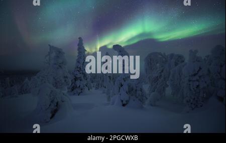 Aurora boreale nel Parco Nazionale Pallas-Yllästunturi, Muonio, Lapponia, Finlandia Foto Stock