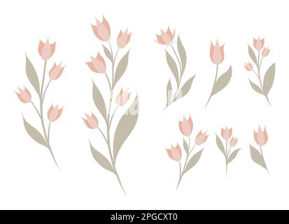 Set vettoriale di clipart floreale. Collezione di fiori rosa su steli in stile piatto isolato dallo sfondo. Illustrazioni per adesivi, cartoline Illustrazione Vettoriale