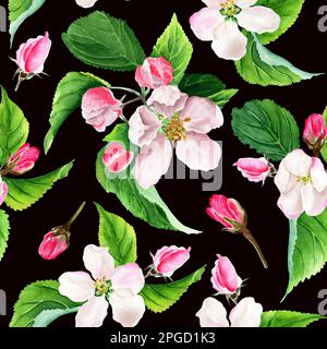 Acquerello senza cuciture con fiori di mela. Isolato su sfondo nero Foto Stock