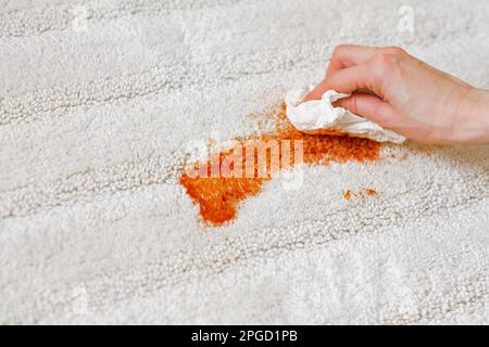 Mano femminile che strofinava una macchia di pomodoro su un tappeto bianco all'interno. Pulizia. primo piano. concetto di colorazione della vita quotidiana Foto Stock