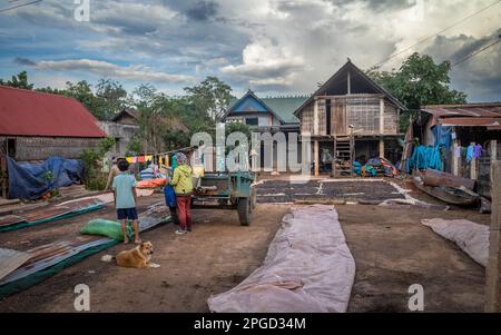 Le ciliegie di caffè asciugano nel cortile di una tradizionale casa di coltivazione minoritaria etnica Mnong a buon Jun, Lien Son, Vietnam. Foto Stock