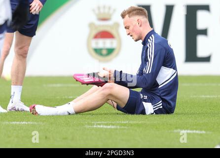 Gelsenkirchen, Germania. 22nd Mar, 2023. Primo : 02/22/2023, calcio, campionato 1st, 1st Bundesliga, Stagione 2022/2023, FC Schalke 04, formazione, credito: dpa/Alamy Live News Foto Stock