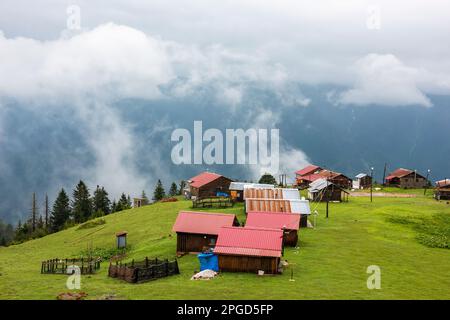 ALTOPIANO di BADARA a Rize, Turchia. Questo altopiano si trova nel distretto di Camlihemsin della provincia di Rize. Regione delle montagne di Kackar. Foto Stock