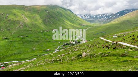 Altopiano di Cicekli nel distretto di Camlihemsin nella provincia di Rize. Regione delle montagne di Kackar. Rize, Turchia. (Turco: Cicekli Yaylasi) Foto Stock