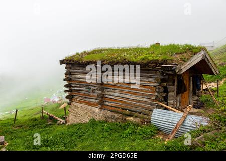 Altopiano di Cicekli nel distretto di Camlihemsin nella provincia di Rize. Regione delle montagne di Kackar. Rize, Turchia. (Turco: Cicekli Yaylasi) Foto Stock