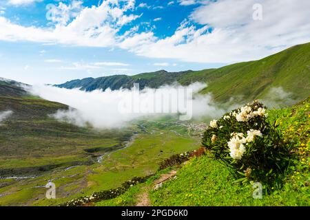 Altopiano di Avusor a Rize, Turchia. Splendido paesaggio con le montagne Kackar. Foto Stock