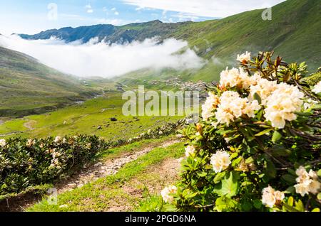 Altopiano di Avusor a Rize, Turchia. Splendido paesaggio con le montagne Kackar. Foto Stock