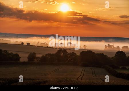 La nebbia si trova nel corso delle basse distende del fiume Tweed, nella foto, mentre il sole tramonta sui campi di grano in maturazione Foto Stock