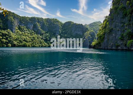 Una baia con rocce maestose a Coron, Palawan nelle Filippine che sono sovra-cresciute di arbusti e bastone fuori dall'acqua. Foto Stock