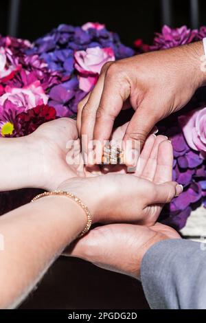 Foto mani e anelli della sposa e della stanza Foto Stock