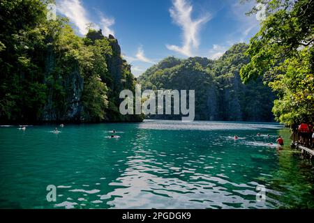 Una baia con rocce maestose a Coron, Palawan nelle Filippine che sono sovra-cresciute di arbusti e bastone fuori dall'acqua. Foto Stock