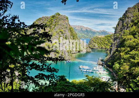 Una baia con rocce maestose a Coron, Palawan nelle Filippine che sono sovra-cresciute di arbusti e bastone fuori dall'acqua. Foto Stock