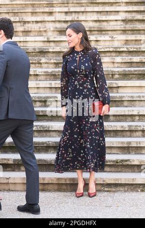 Madrid, Madrid, Spagna. 22nd Mar, 2023. La regina Letizia di Spagna partecipa alla mostra di Nebrija (1444-1522). L'orgoglio di essere un grammario 'Grammaticus Nomen est Professionis', nel quadro delle attività che si svolgono per il 5th centenario della morte di Elio Antonio de Nebrija alla Biblioteca Nazionale il 22 marzo 2023 a Madrid, Spagna (Credit Image: © Jack Abuin/ZUMA Press Wire) SOLO PER USO EDITORIALE! Non per USO commerciale! Foto Stock