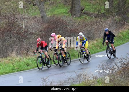 De Panne, Belgio. 22nd Mar, 2023. Tedesco Jonas Rutsch di EF Education-EasyPost, francese Mathis le Berre di Arkea-Samsic, Louis Benixden (Den - uno-X), belga Milano Fretin del Team Fiandre Baloise e Jens Reynders (Israel-Premier Tech) raffigurati in azione durante la gara d'élite maschile della "Classic Brugge-De Panne", gara ciclistica di un giorno, 207,4km da Brugge a De Panne, mercoledì 22 marzo 2023. FOTO DI BELGA DIRK WAEM Credit: Agenzia Notizie di Belga/Alamy Live News Foto Stock