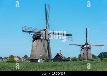 Paesaggio polder con i mulini a vento Strijkmolen, Oterleek, Nord Olanda, Paesi Bassi, Europa Foto Stock