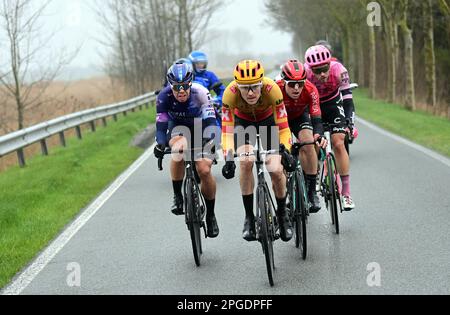 De Panne, Belgio. 22nd Mar, 2023. Louis Benixden (Den - uno-X), il francese Mathis le Berre di Arkea-Samsic, il tedesco Jonas Rutsch di EF Education-EasyPost, il belga Fretin di Milano del Team Fiandre Baloise e Jens Reynders (Israele-Premier Tech) raffigurati in azione durante la gara d'élite maschile della "Classic Brugge-De Panne", gara ciclistica di un giorno, 207,4km da Brugge a De Panne, mercoledì 22 marzo 2023. FOTO DI BELGA DIRK WAEM Credit: Agenzia Notizie di Belga/Alamy Live News Foto Stock