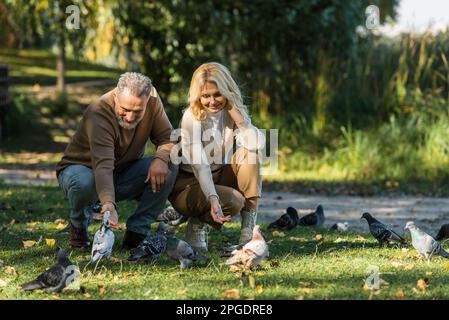 intera lunghezza di felice coppia di mezza età seduta e piccioni luring nel parco, immagine stock Foto Stock