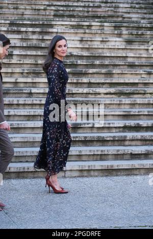 Madrid, Spagna. 22nd Mar, 2023. La Regina Letizia di Spagna visita una mostra sulla Nebrija umanista spagnola alla Biblioteca Nazionale il 22 marzo 2023 a Madrid, Spagna. (Foto di Oscar Gonzalez/NurPhoto) Credit: NurPhoto SRL/Alamy Live News Foto Stock